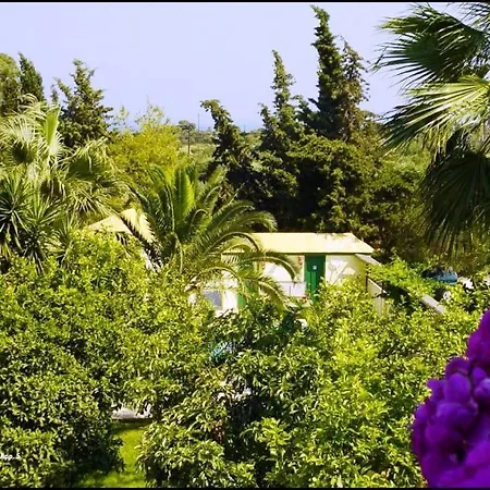 Lemon Garden Vasilikí