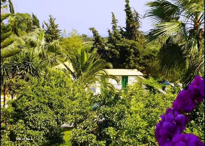 Lemon Garden Vasilikí
